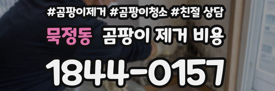 묵정동 곰팡이 제거 비용