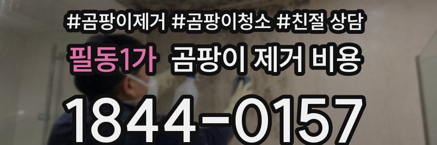 필동1가 곰팡이 제거 비용