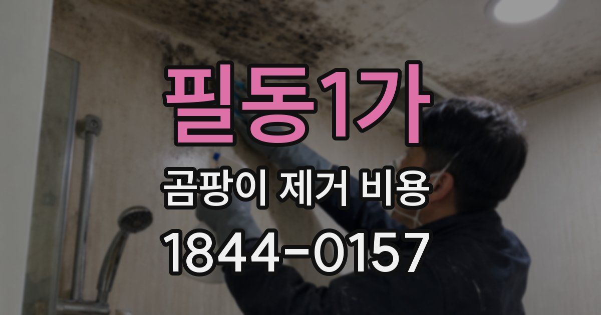 필동1가 곰팡이 제거 비용