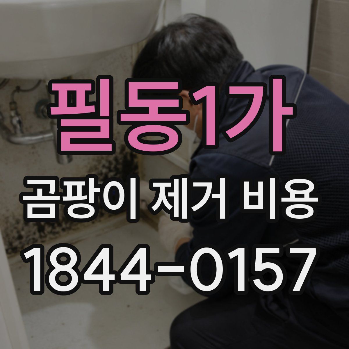 필동1가 곰팡이 제거 비용