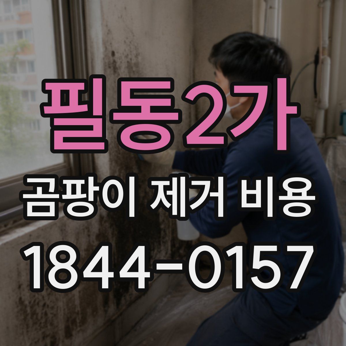 필동2가 곰팡이 제거 비용