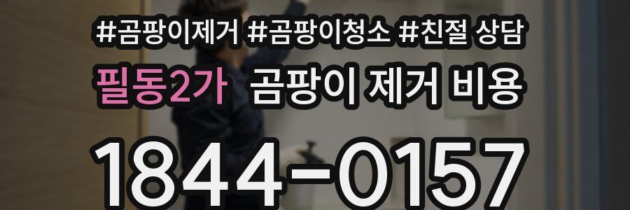 필동2가 곰팡이 제거 비용