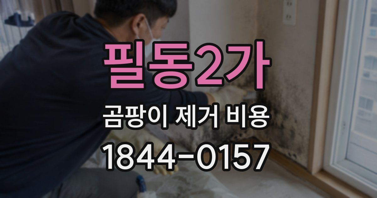 필동2가 곰팡이 제거 비용