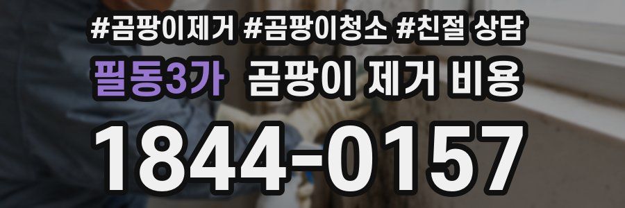 필동3가 곰팡이 제거 비용