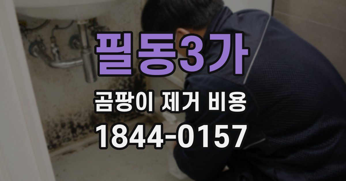필동3가 곰팡이 제거 비용