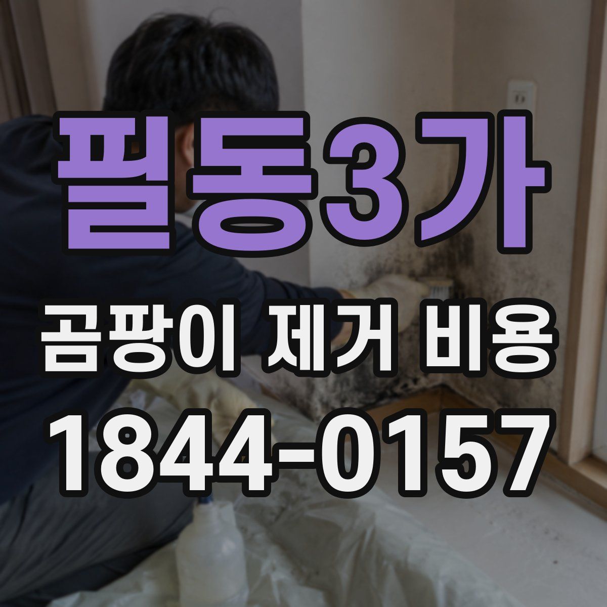 필동3가 곰팡이 제거 비용