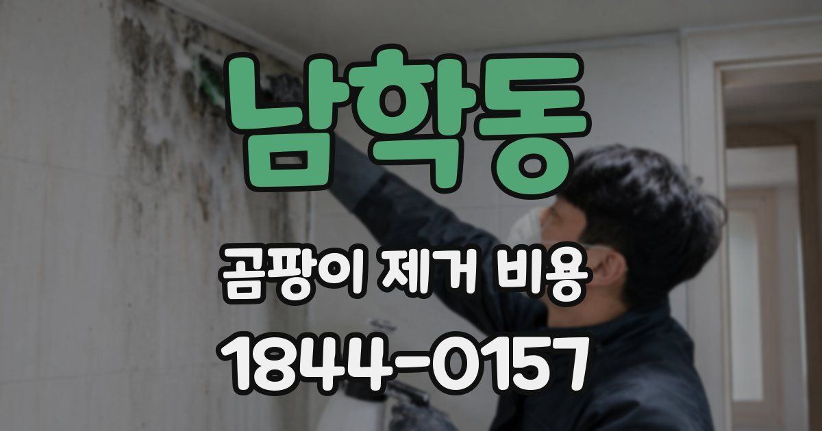 남학동 곰팡이 제거 비용