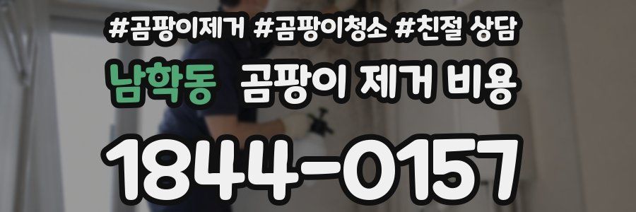 남학동 곰팡이 제거 비용