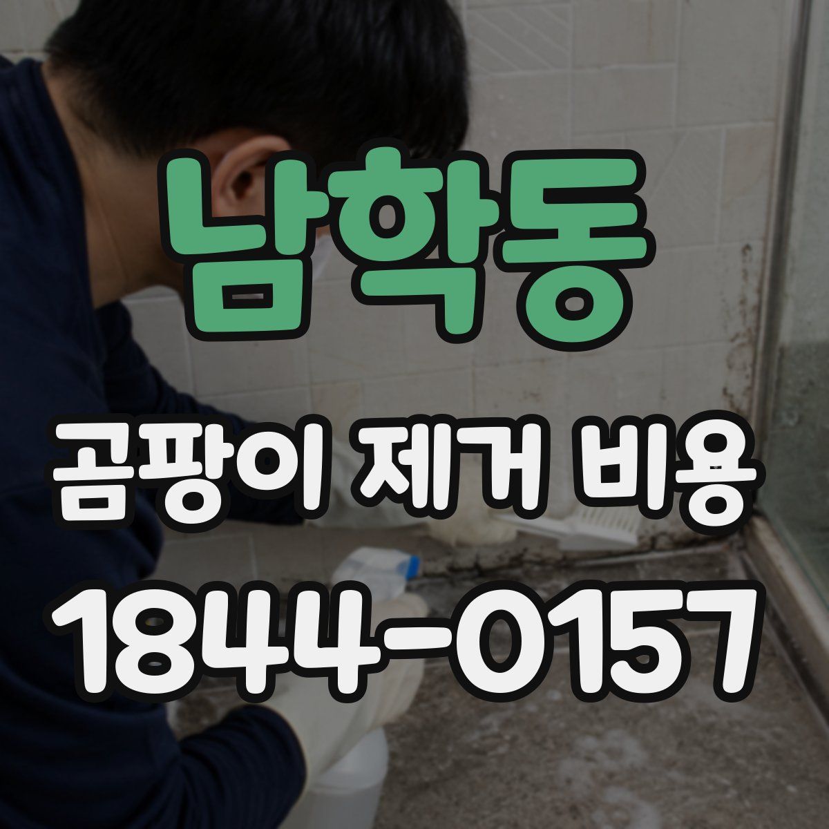 남학동 곰팡이 제거 비용