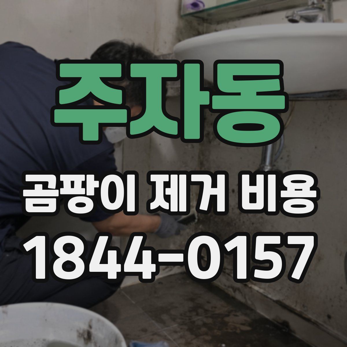 주자동 곰팡이 제거 비용