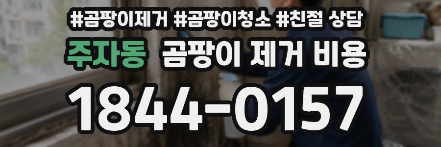 주자동 곰팡이 제거 비용