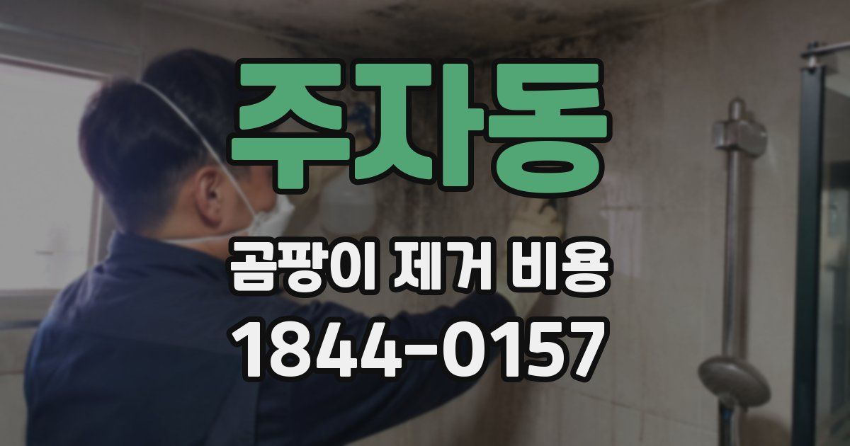 주자동 곰팡이 제거 비용
