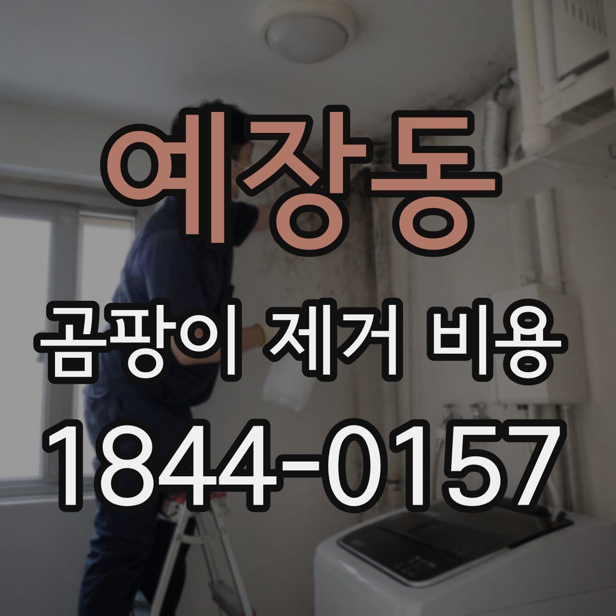 예장동 곰팡이 제거 비용