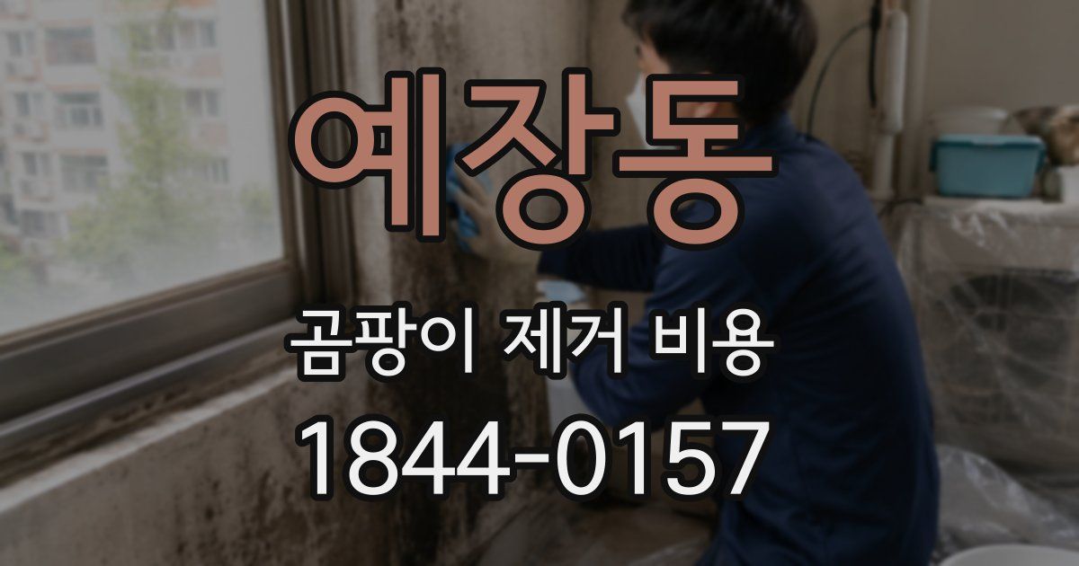 예장동 곰팡이 제거 비용
