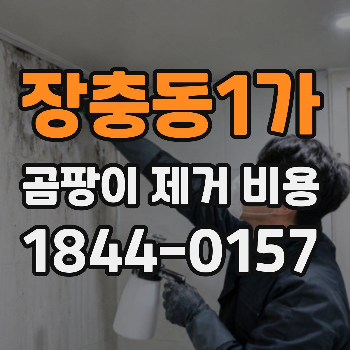장충동1가 곰팡이 제거 비용