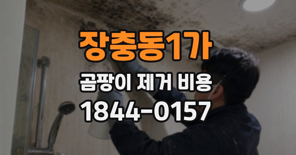 장충동1가 곰팡이 제거 비용