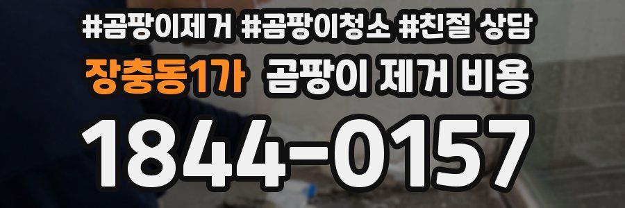 장충동1가 곰팡이 제거 비용