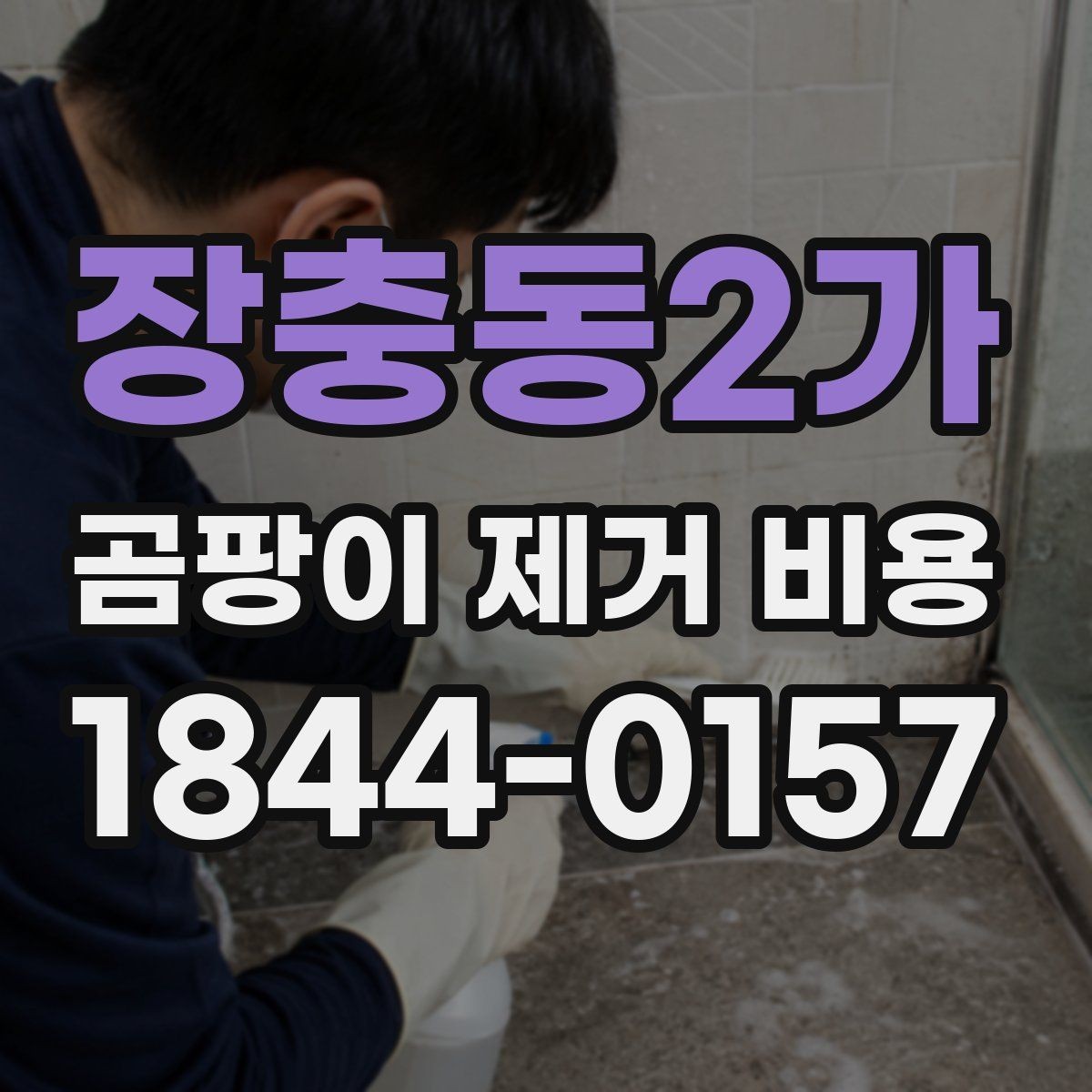 장충동2가 곰팡이 제거 비용 실내 습도와 환기 상태가 영향을 주는 이유