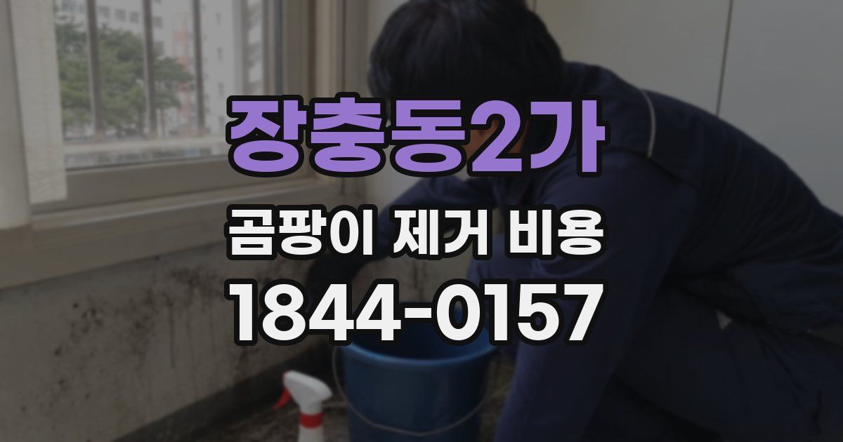 장충동2가 곰팡이 제거 비용