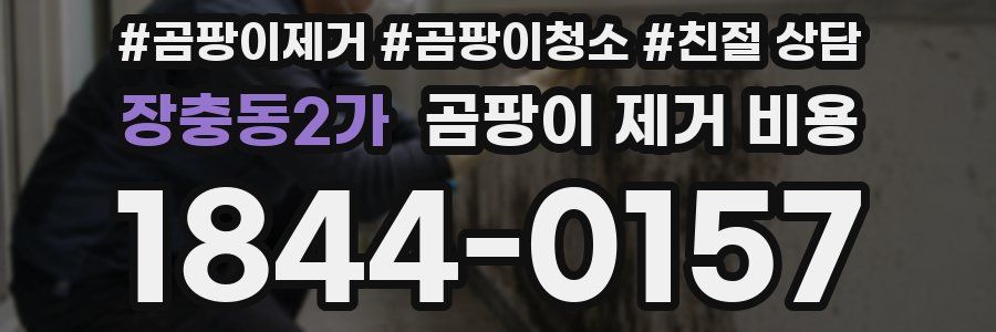 장충동2가 곰팡이 제거 비용