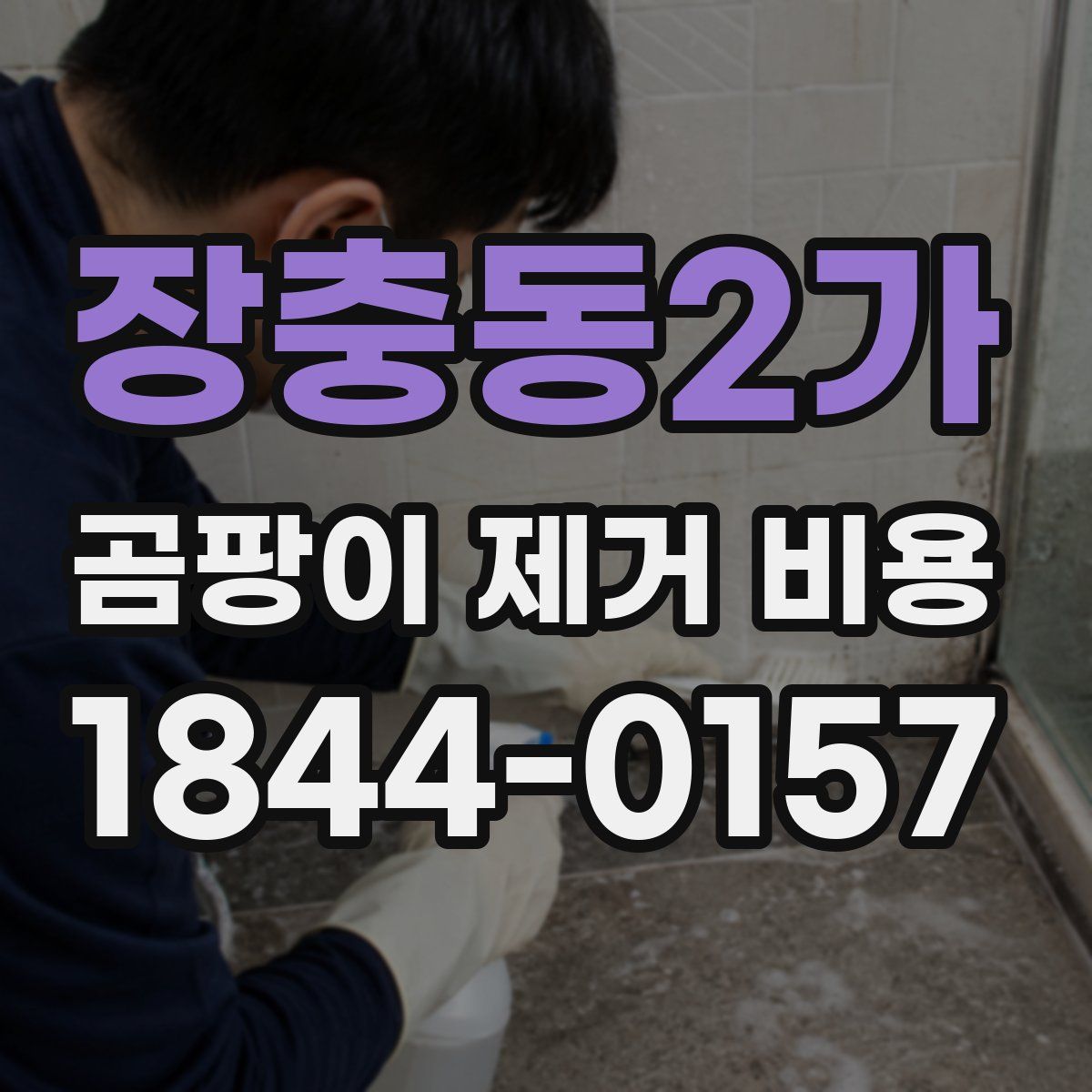 장충동2가 곰팡이 제거 비용