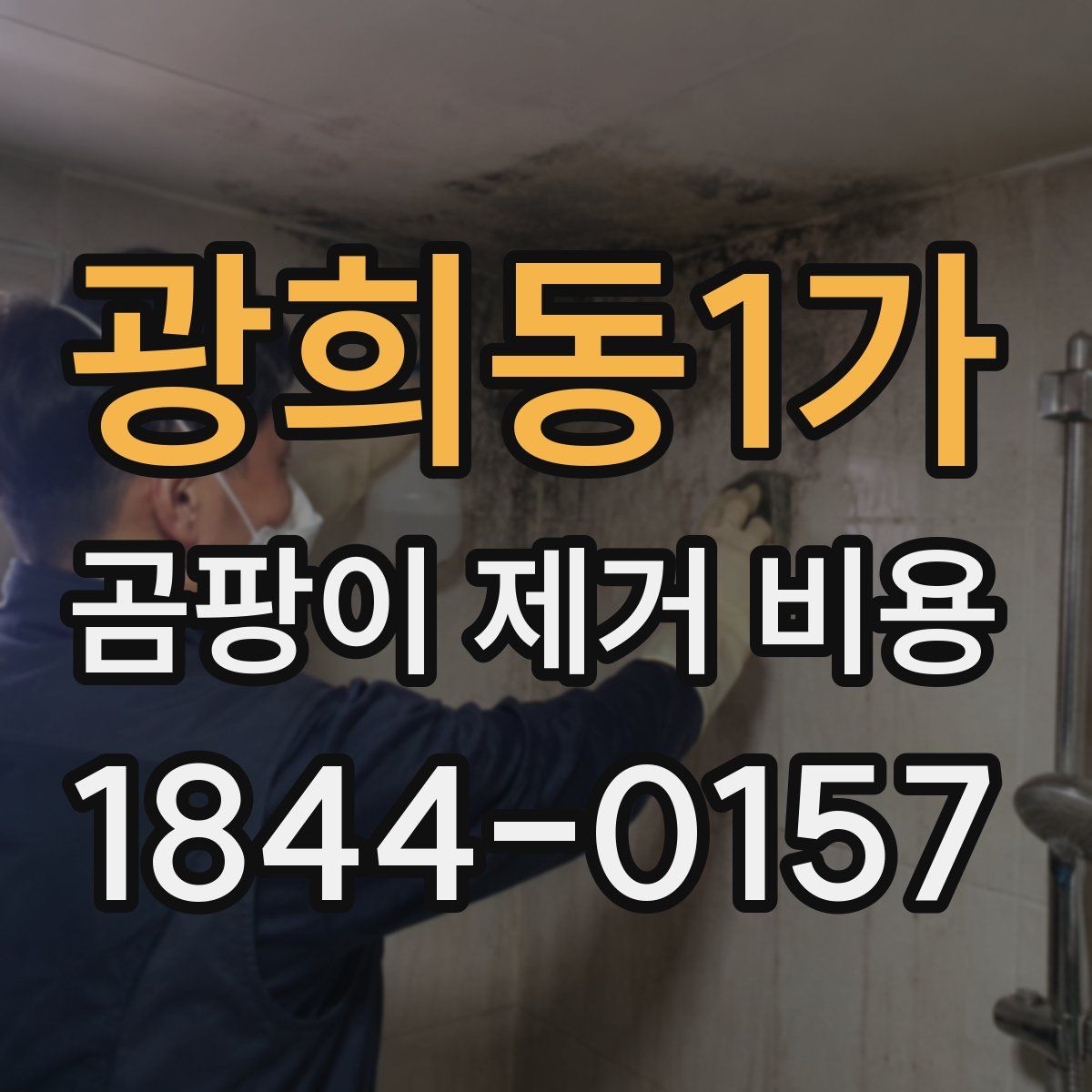 광희동1가 곰팡이 제거 비용