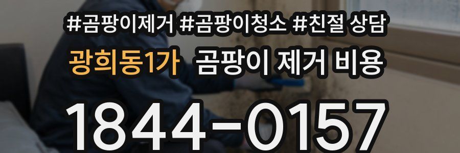 광희동1가 곰팡이 제거 비용