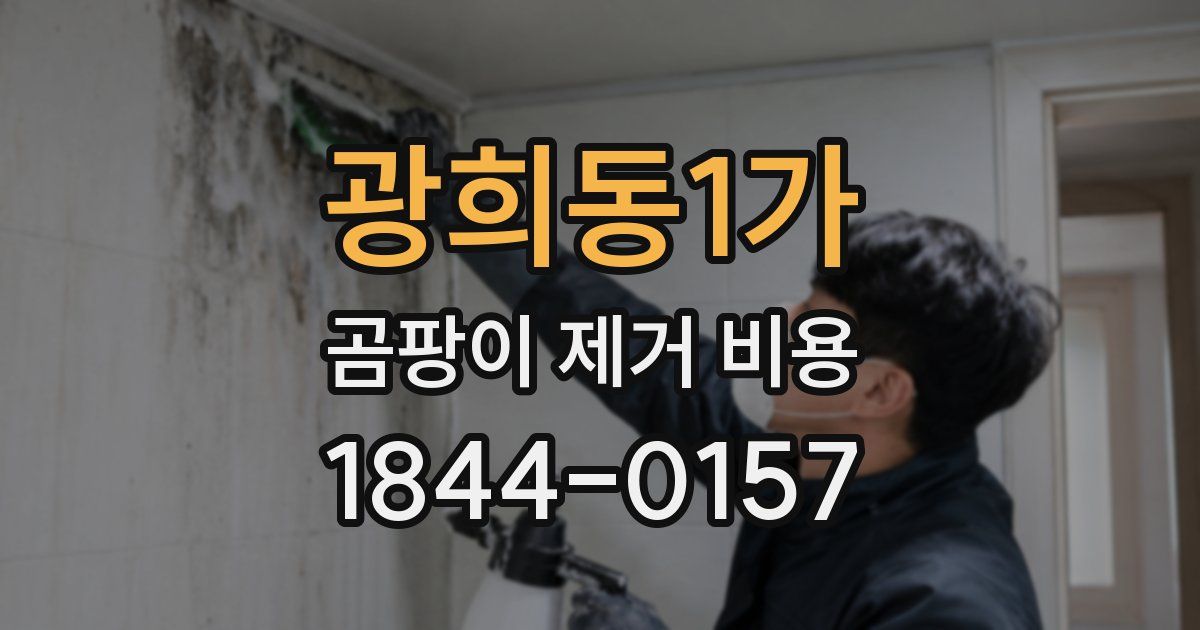 광희동1가 곰팡이 제거 비용