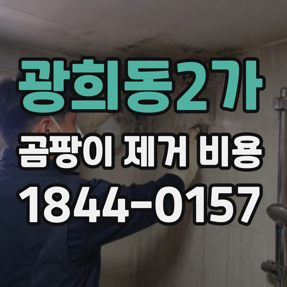 광희동2가 곰팡이 제거 비용