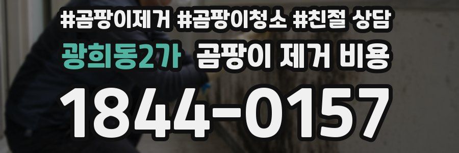 광희동2가 곰팡이 제거 비용