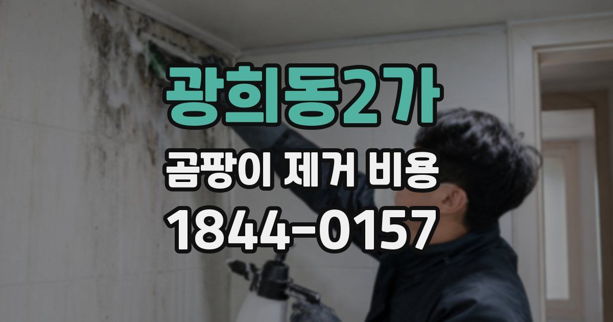 광희동2가 곰팡이 제거 비용