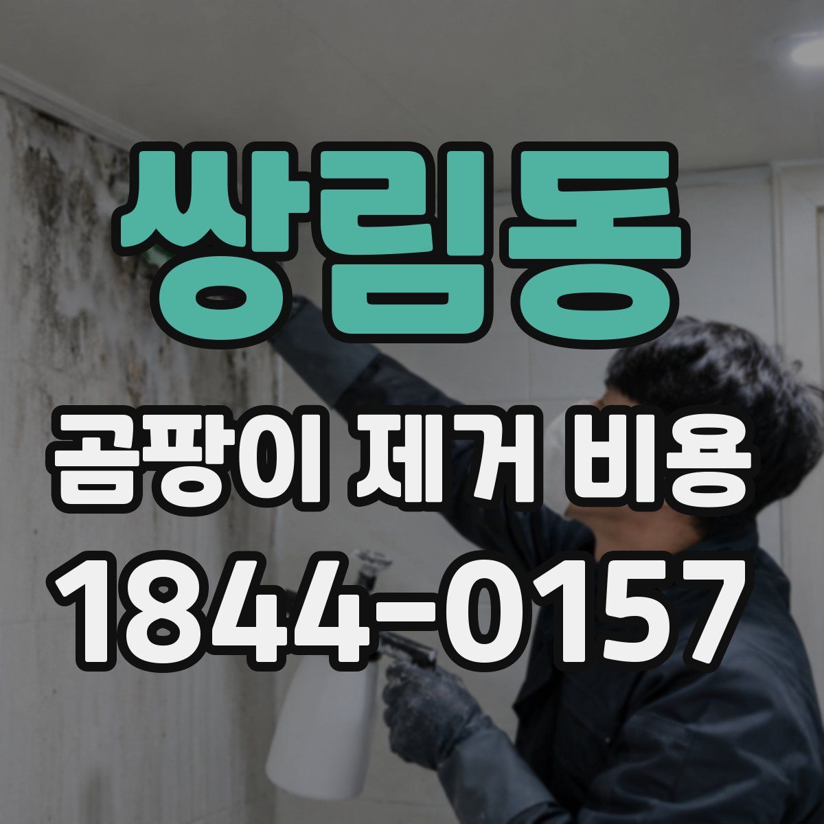 쌍림동 곰팡이 제거 비용