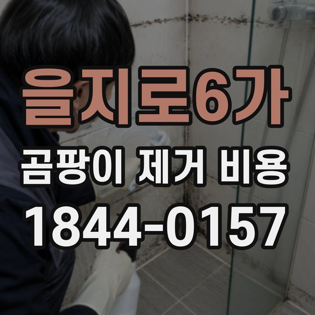 을지로6가 곰팡이 제거 비용