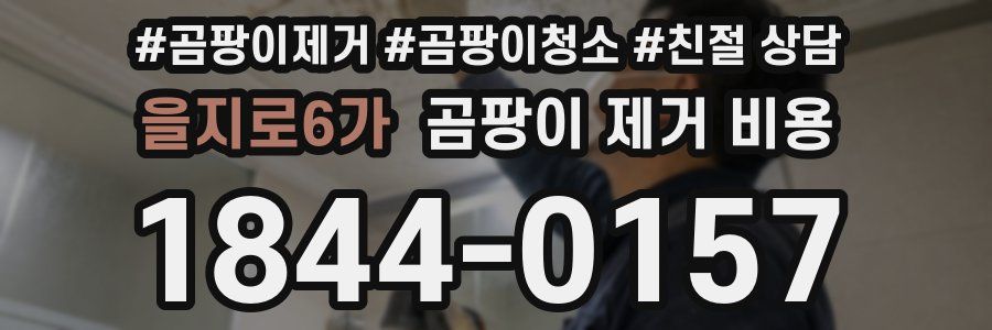 을지로6가 곰팡이 제거 비용
