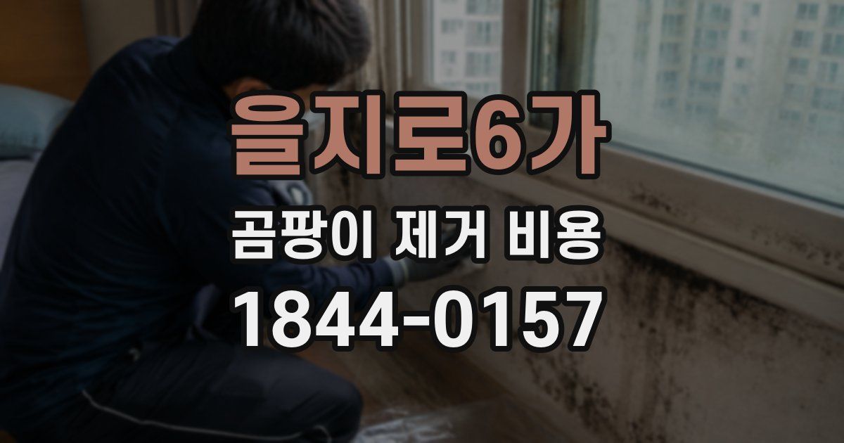 을지로6가 곰팡이 제거 비용