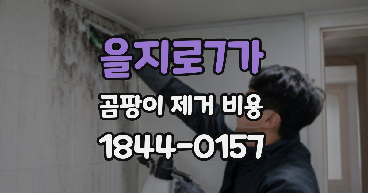 을지로7가 곰팡이 제거 비용