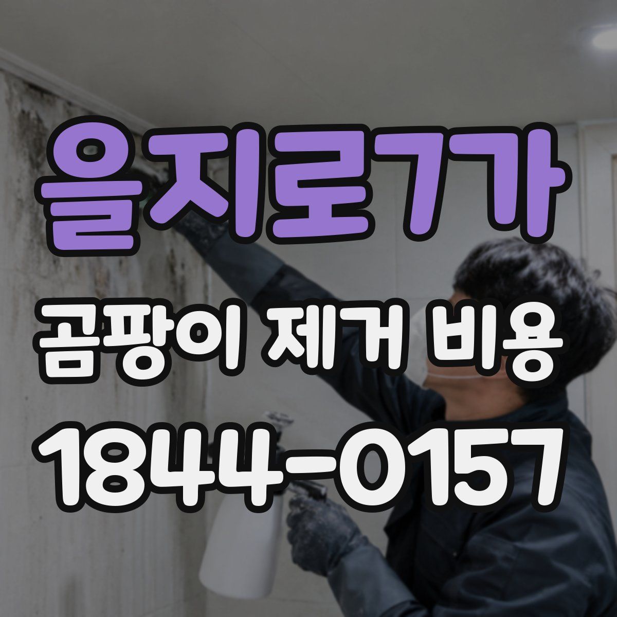 을지로7가 곰팡이 제거 비용