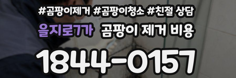 을지로7가 곰팡이 제거 비용