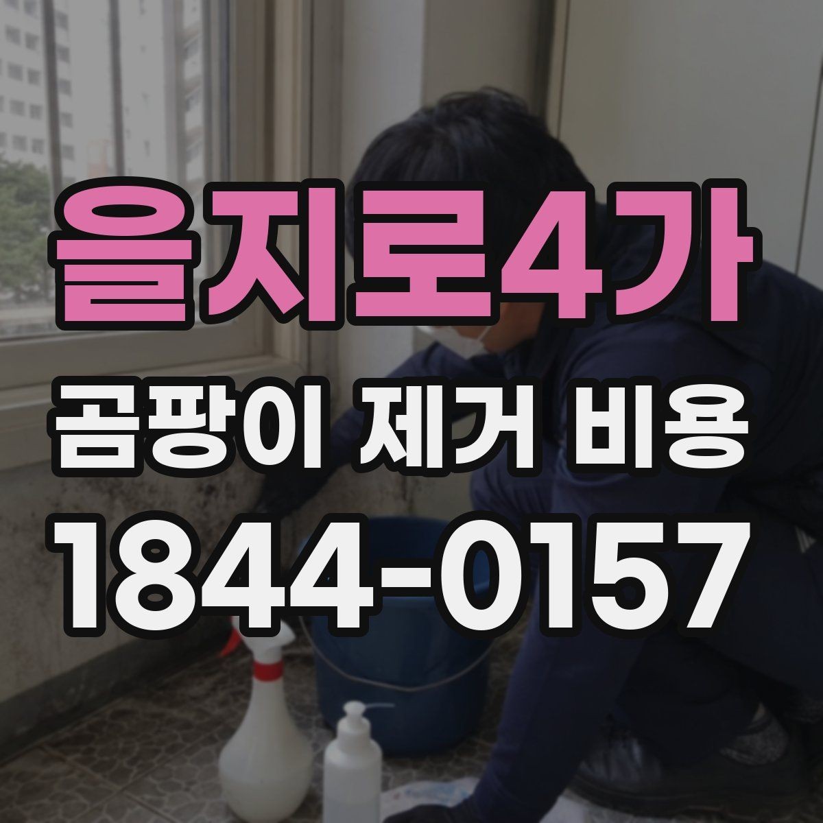 을지로4가 곰팡이 제거 비용 견적서에서 봐야 할 항목