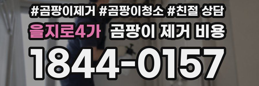 을지로4가 곰팡이 제거 비용
