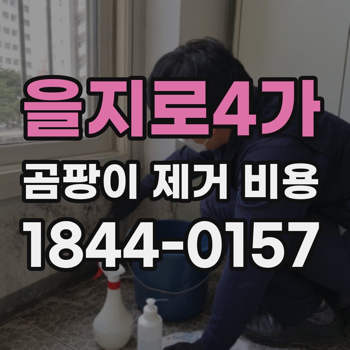 을지로4가 곰팡이 제거 비용