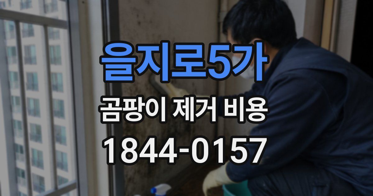 을지로5가 곰팡이 제거 비용