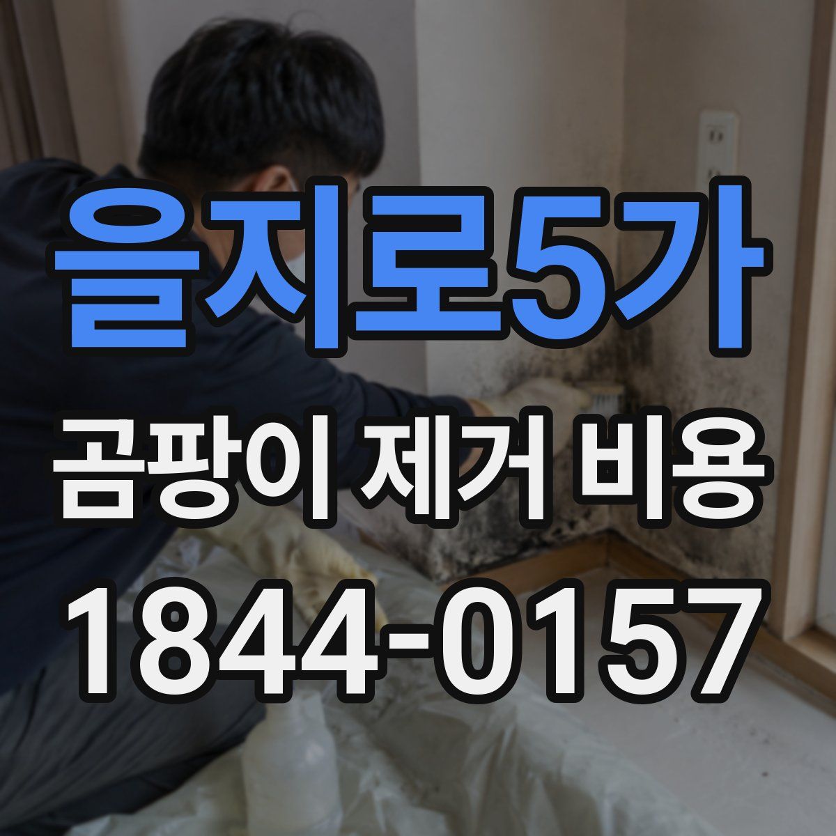 을지로5가 곰팡이 제거 비용