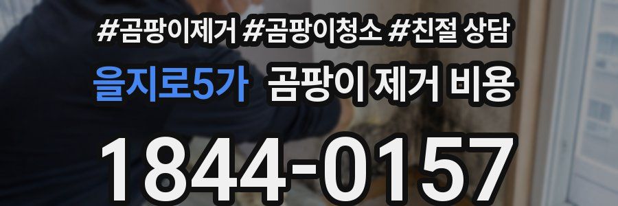 을지로5가 곰팡이 제거 비용