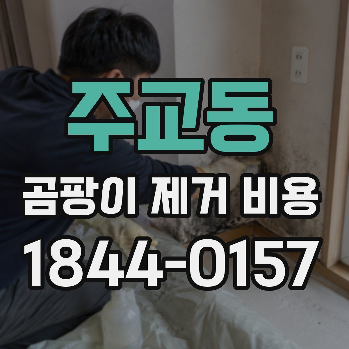 주교동 곰팡이 제거 비용