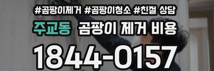 주교동 곰팡이 제거 비용