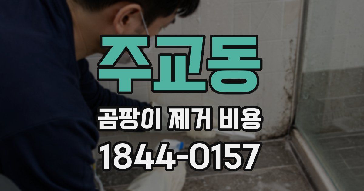 주교동 곰팡이 제거 비용