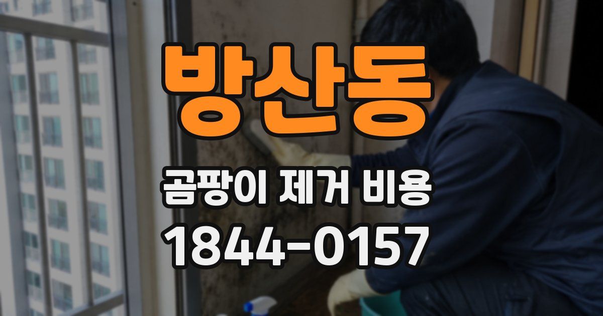 방산동 곰팡이 제거 비용