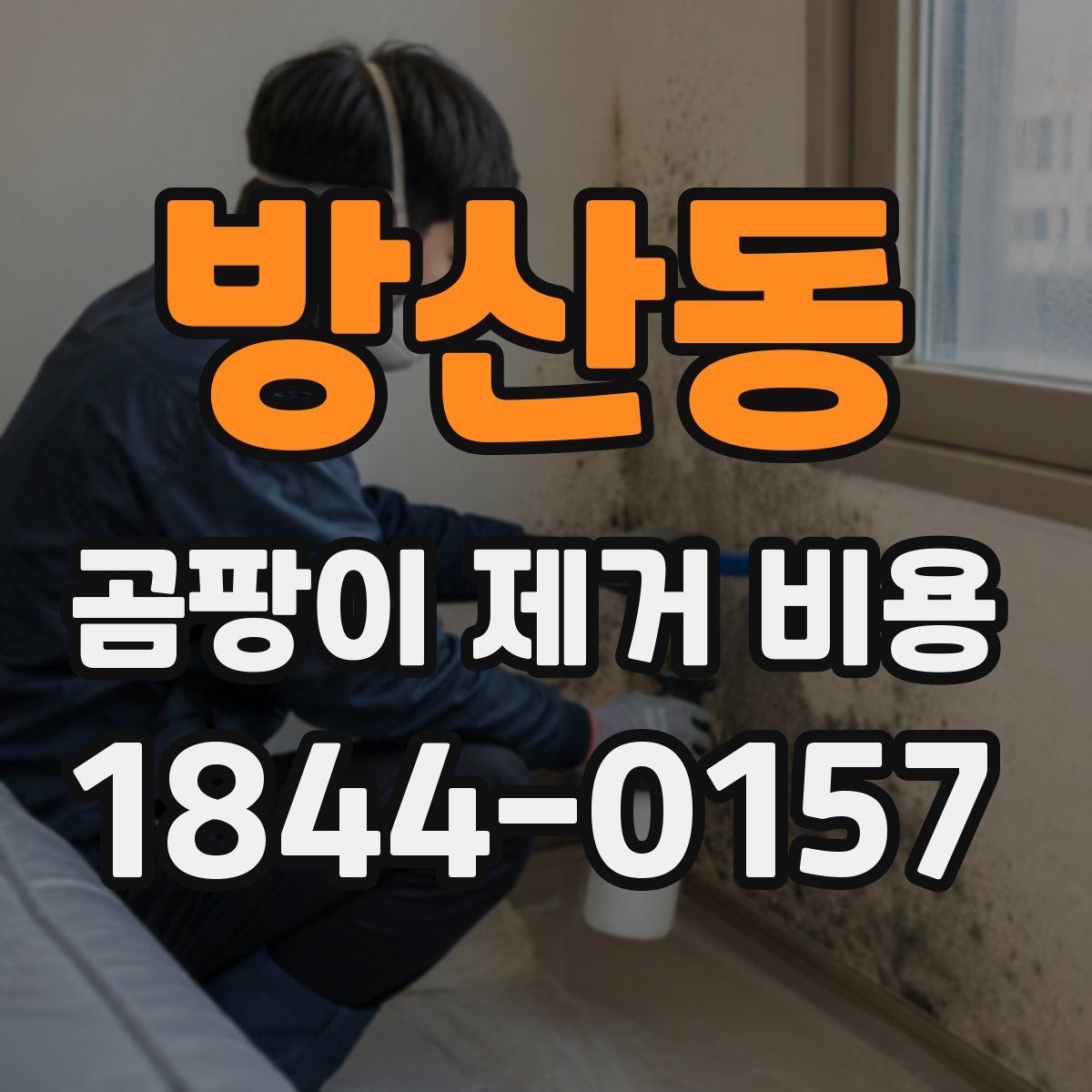 방산동 곰팡이 제거 비용