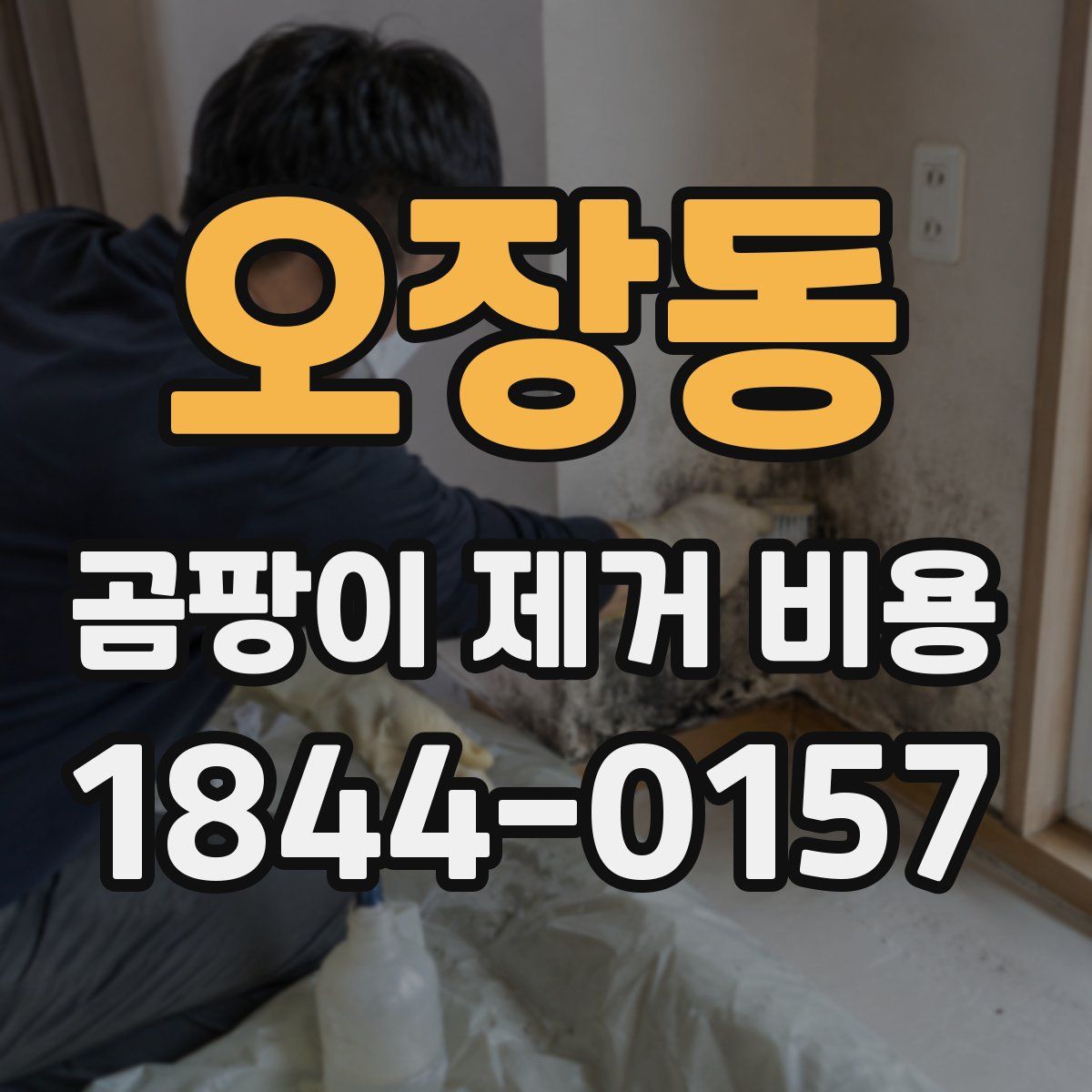오장동 곰팡이 제거 비용